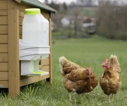 Produktbild: SmartCoop Futterautomat mit Geflügeltränke 7,5 kg, 10 l, für Hühner
