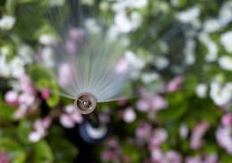 Produktbild: RAIN BIRD® Sprühdüse VAN einstellbar, für Versenkregner