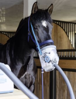 Lifestyle: hippomed Ultraschall-Inhalator AirOne 230 V-Betrieb, mit Warmblut-Inhalationsmaske