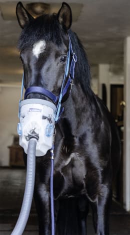 Lifestyle: hippomed Ultraschall-Inhalator AirOne 230 V-Betrieb, mit Warmblut-Inhalationsmaske