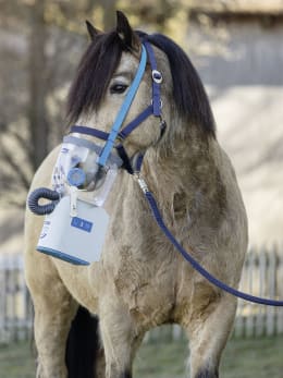 Lifestyle: hippomed Ultraschall-Inhalator AirOne Flex Akku-Betrieb, mit Warmblut-Inhalationsmaske