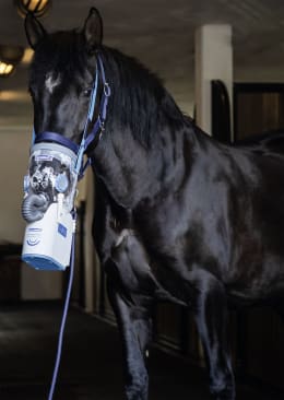 Lifestyle: hippomed Ultraschall-Inhalator AirOne Flex Akku-Betrieb, mit Warmblut-Inhalationsmaske