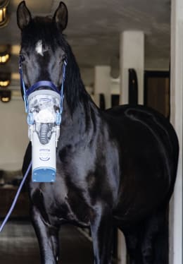 Lifestyle: hippomed Ultraschall-Inhalator AirOne Flex Akku-Betrieb, mit Warmblut-Inhalationsmaske