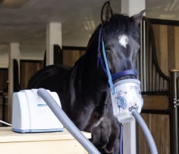 Lifestyle: hippomed Ultraschall-Inhalator AirOne 230 V-Betrieb, ohne Inhalationsmaske