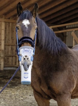 Lifestyle: hippomed Inhalationsmaske Kaltblüter für Ultraschall-Inhalator AirOne Flex