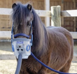 Produktbild: hippomed Inhalationsmaske Shetland-Pony (Shetty) für Ultraschall-Inhalator AirOne