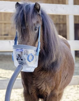Produktbild: hippomed Inhalationsmaske Shetland-Pony (Shetty) für Ultraschall-Inhalator AirOne