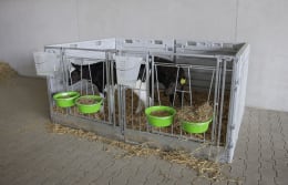 Lifestyle: KERBL Kälberbox modular Doppelbucht freistehend, Liegefläche pro Bucht 160 x 115 cm, 14628