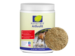 Produktbild: NATURE´S BEST Arthrofit mit Teufelskralle und Ingwer