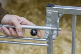 Lifestyle: KERBL Kälberiglu CalfHouse Master Plus für 1 Kalb, mit Umzäunung