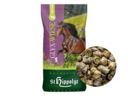 Produktbild: St. Hippolyt Glyx-Wiese Heucobs staubarmer Raufutterersatz für Pferde zum Einweichen