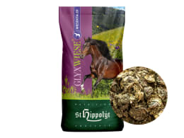 Produktbild: St. Hippolyt Glyx-Wiese Wiesentaler Heuersatz ohne Zusatzstoffe mit geringer Einweichzeit