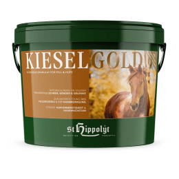 Produktbild: St. Hippolyt Kieselgold mit Silizium und Kurkuma