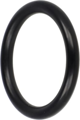 Produktbild: Agrotop O-Ring 22,5 x 4,5 mm, für Ventildichtring Kolbenmembranpumpe AR, AR bp
