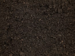 ART_AdditionalAssets_05