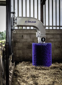 Lifestyle: DeLaval Kuhbürste SBB