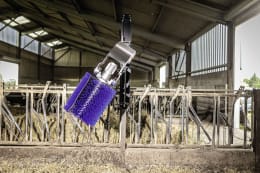 Lifestyle: DeLaval Kuhbürste SBB