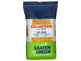 Produktbild: Mais-Saatgut Saaten Union EGLANTEEN (ca. S 270)