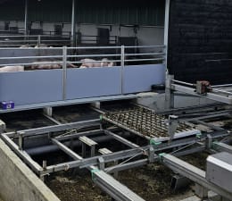 Lifestyle: DOMINO Entmistungsboden OptiWaste für Schweine