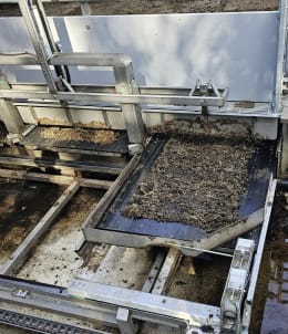 Lifestyle: DOMINO Entmistungsboden OptiWaste für Schweine