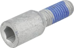 Produktbild: Horsch Innensechskantschraube M 12 x 29 - 10.9, für TurboDisc II Drillmaschine Express, Focus, Pronto
