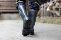 Lifestyle: DUNLOP® Gummistiefel S5 Purofort® TerraPRO
