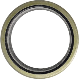 Produktbild: BAUER Abstreifer 35 x 45 x 7 mm, 10 mm, für Hydraulik Regenmaschine Rainstar 110 TiH