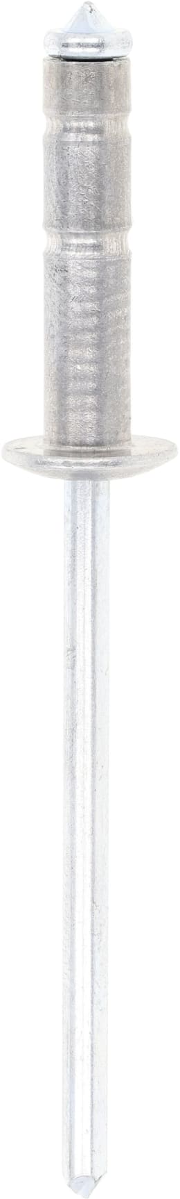 Produktbild: Fendt Blindniete 4 x 16,9 mm