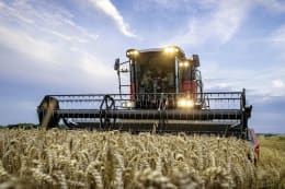 Lifestyle: Massey Ferguson Mähdrescher MF Activa