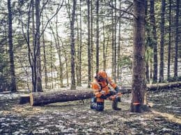 Lifestyle: Husqvarna® Benzin-Kettensäge 562 XP® Mark II