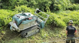 Lifestyle: Pfanzelt Forstraupe Moritz im Einsatz bei der Waldarbeit mit Bediener