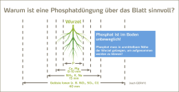 Detailbild: YARA YaraVita® KOMBIPHOS