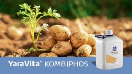 Produktbild: YARA YaraVita® KOMBIPHOS