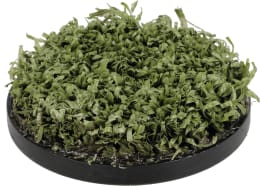 Produktbild: Perrot Gehäusedeckel grün, mit Kunstrasen für Versenkregner HYDRA-M M, HYDRA-2 M