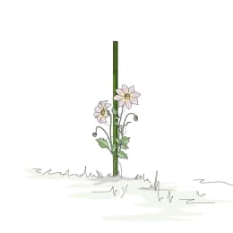 ART_AdditionalAssets