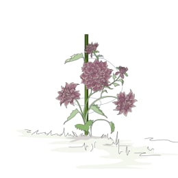 ART_AdditionalAssets
