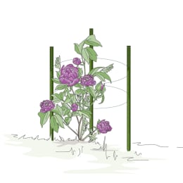 ART_AdditionalAssets