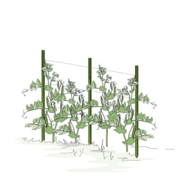 ART_AdditionalAssets