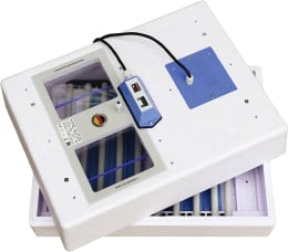 Produktbild: BRUJA Brutmaschine 3000 Premium mit automatischer Wendung für Hühner-/Enteneier