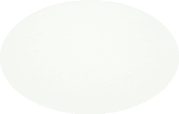 Produktbild: DeLaval Milchfilterscheibe W20 240 mm, 98502480