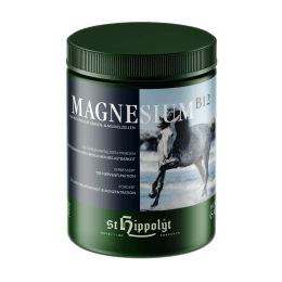 Produktbild: St. Hippolyt Magnesium B12 mit Biotin und Kräutern 1 kg Dose