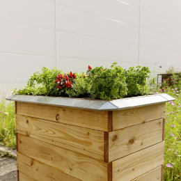 ART_AdditionalAssets