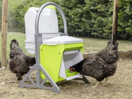 Lifestyle: SmartCoop Standfüße für Geflügeltränke und Futterautomat, 400 x 400 x 715 mm, höhenverstellbar