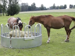 Lifestyle: KERBL Heuraufe Ø 2,19/2,36 m, 12 Fressplätze, für Pferde