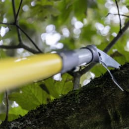 Lifestyle: Berger Teleskopstange ArboRapid Light 600 1,70 – 6,00 m, 4 Segmente, GFK-Rohre, 77004