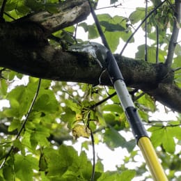 Lifestyle: Berger Teleskopstange ArboRapid Light 465 1,70 – 4,65 m, 3 Segmente, GFK-Rohre, 77003