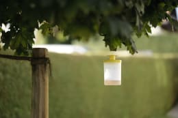 Lifestyle: cit® Fliegenfalle FlyCage3 für den Außenbereich