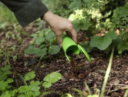 Lifestyle: cit® Schneckenfalle SnailBowl