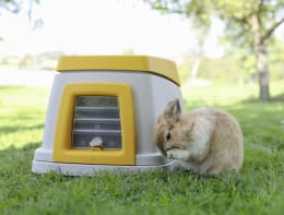 Produktbild: KERBL Kaninchenbau Bunny Base Oberteil, inkl. Zubehör