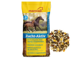 Produktbild: marstall® Zucht-Aktiv getreidefreies Müsli für Zuchtstuten, Deckhengste und Fohlen